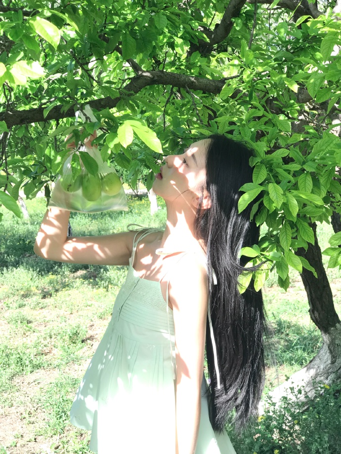 阿甘正传 封面